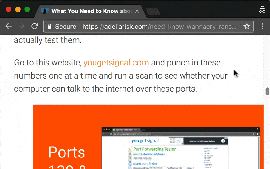 Adelia Risk phishing tip showing browser security check and port scanning guidance