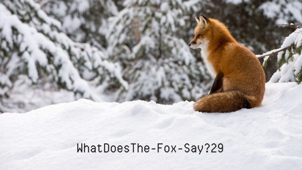 Example of a strong password phrase using fox in snow for Adelia Risk password guide
